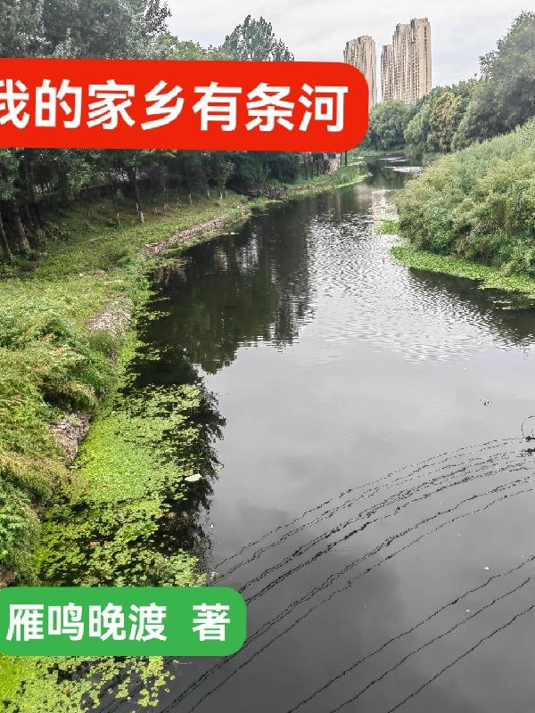 小说我的家乡有条河